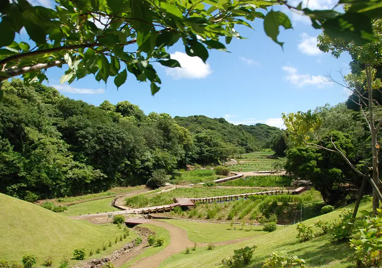 サスティナビリティ