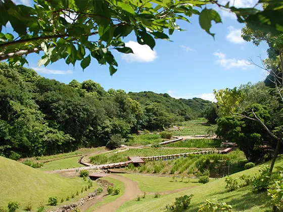 サスティナビリティ