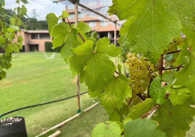 環境への配慮・脱炭素のための取組