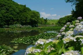 里山水生園