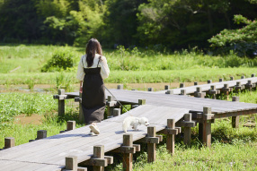 NEMUの自然の中をおさんぽ