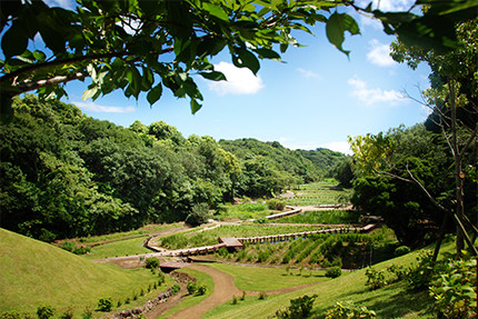 里山水生園