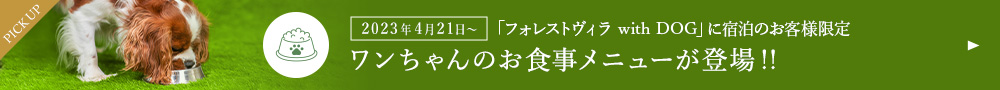 2023年4月21日〜ワンちゃんのお食事メニューが登場！！