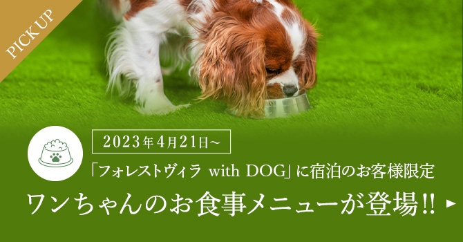 2023年4月21日〜ワンちゃんのお食事メニューが登場！！