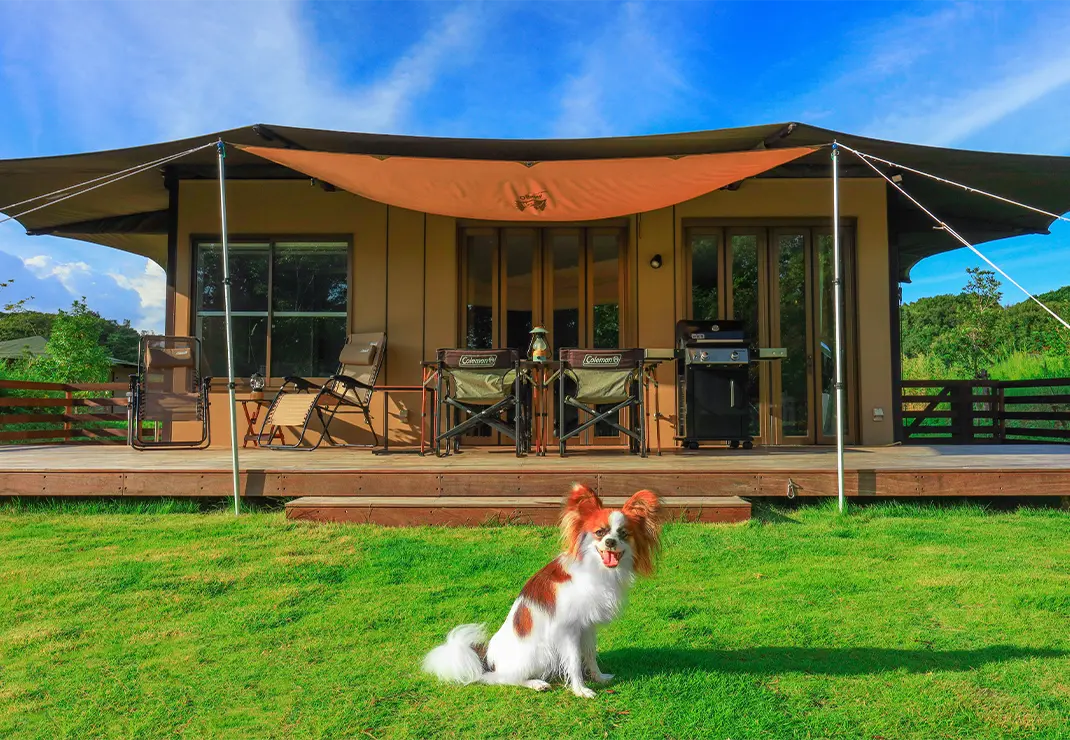 フォレストヴィラ DOG