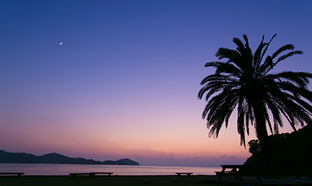 宵空バスツアー