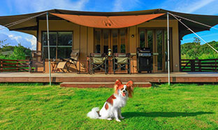 ワンちゃんとご宿泊