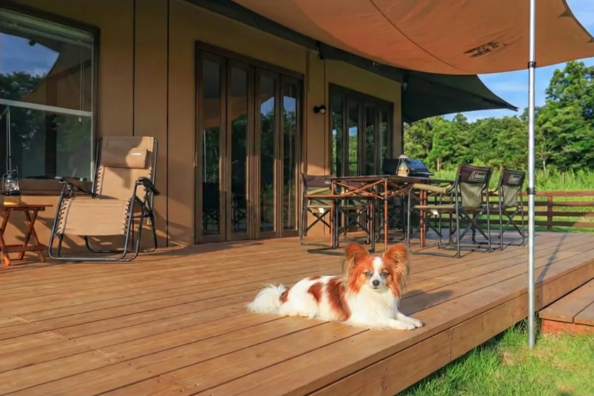 フォレストヴィラ DOG