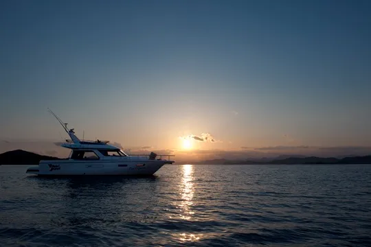 アクティビティ