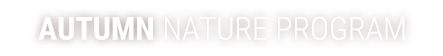 AUTUMN NATURE PROGRAM