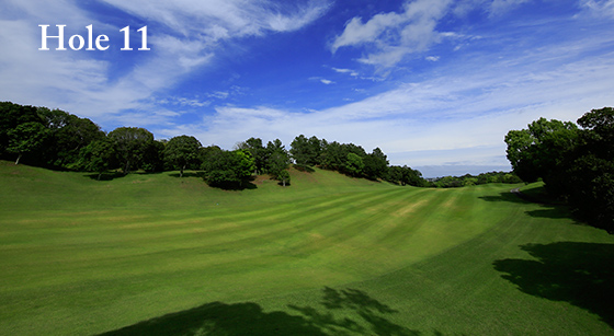 hole11