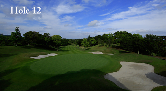 hole12
