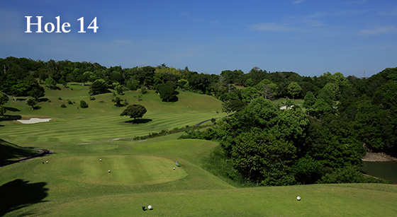 hole14