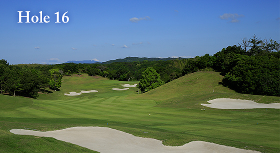 hole16