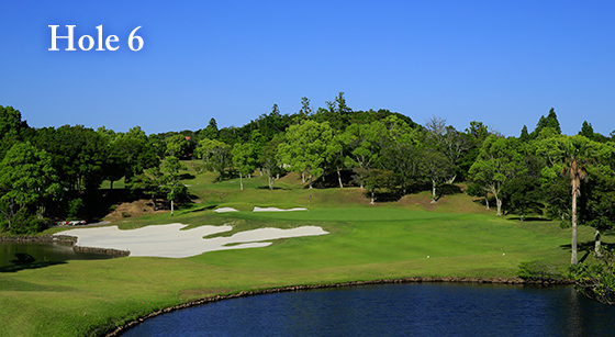 hole6