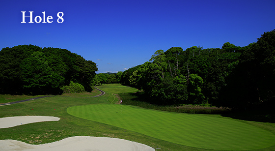 hole8