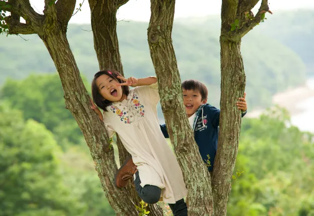 木登りする2人の子供