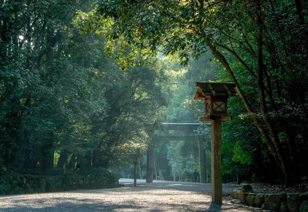 緑に囲まれた伊勢神宮に日の光が差し込んでいる様子