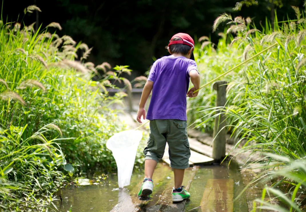 ランドカーで散策