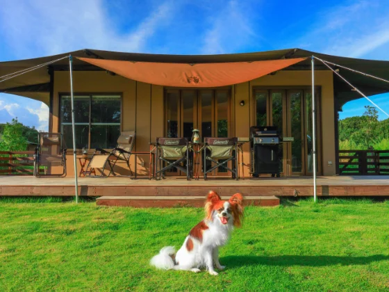 ワンちゃん連れ