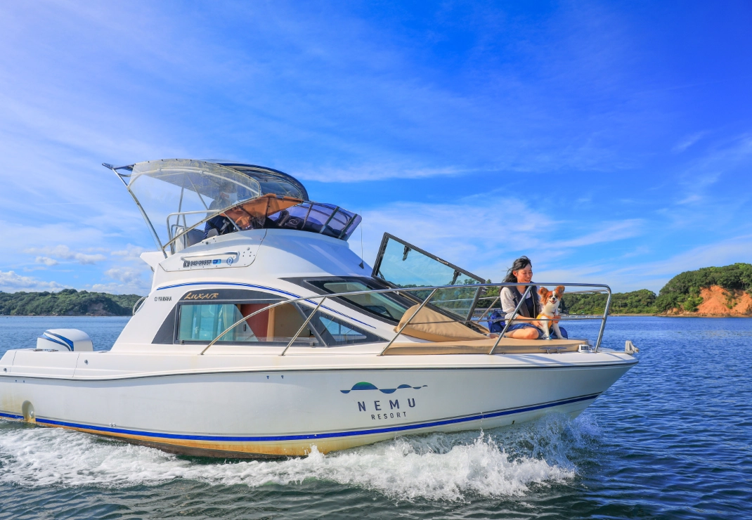 ワンちゃんとアクティビティ