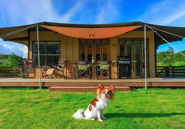 ワンちゃん連れ