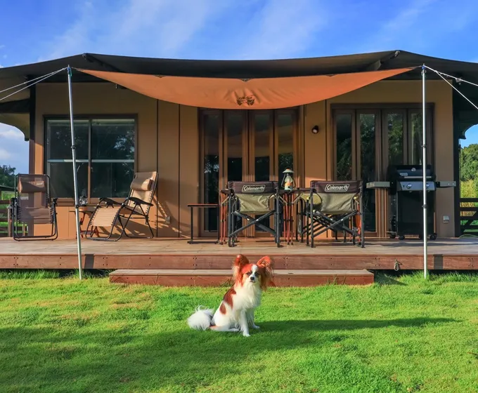 フォレストヴィラ DOG