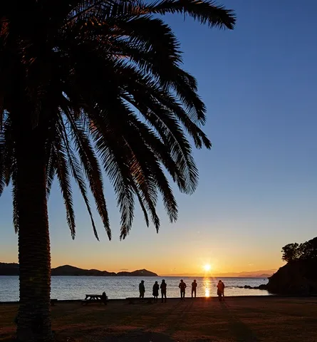 宵空バスツアー