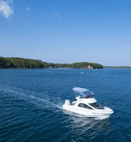 デイクルージング