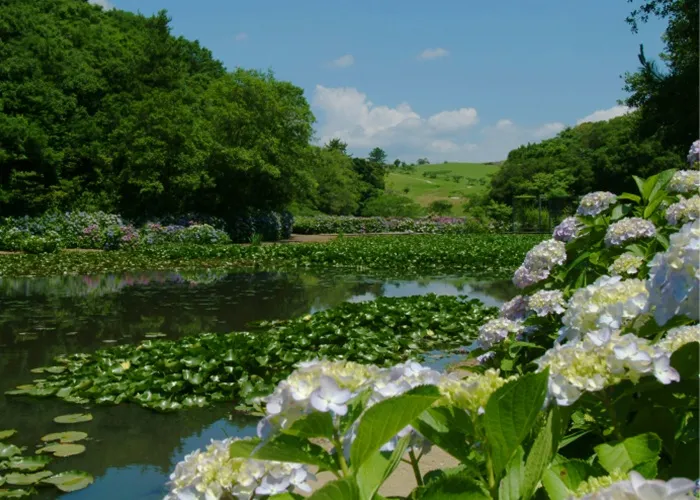 アクティビティを楽しむ子供