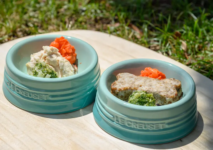 ワンワンバーグディッシュ