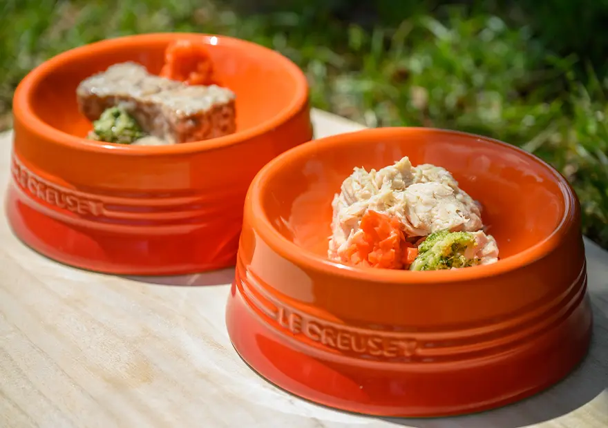 ササミディッシュ