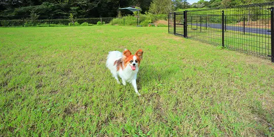 フォレストヴィラ DOGに宿泊のお客様