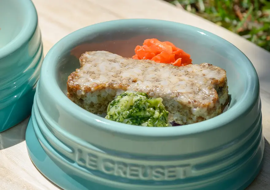 ワンワンバーグディッシュ