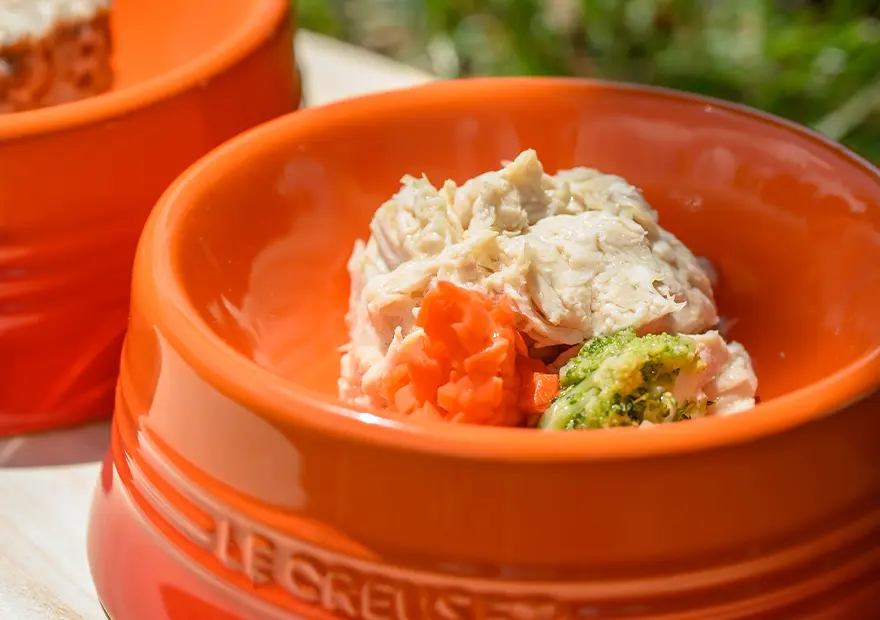 ササミディッシュ