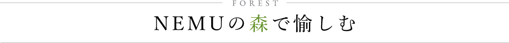 FOREST NEMUの森で愉しむ
