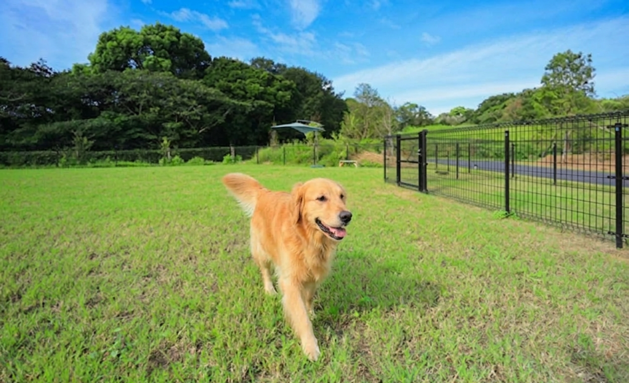 【公式HP・日程限定】4/18リニューアルOPEN記念｜早期予約20%OFF 愛犬と泊まるフォレストヴィラDOG〈コースディナー・朝食ブッフェ付〉