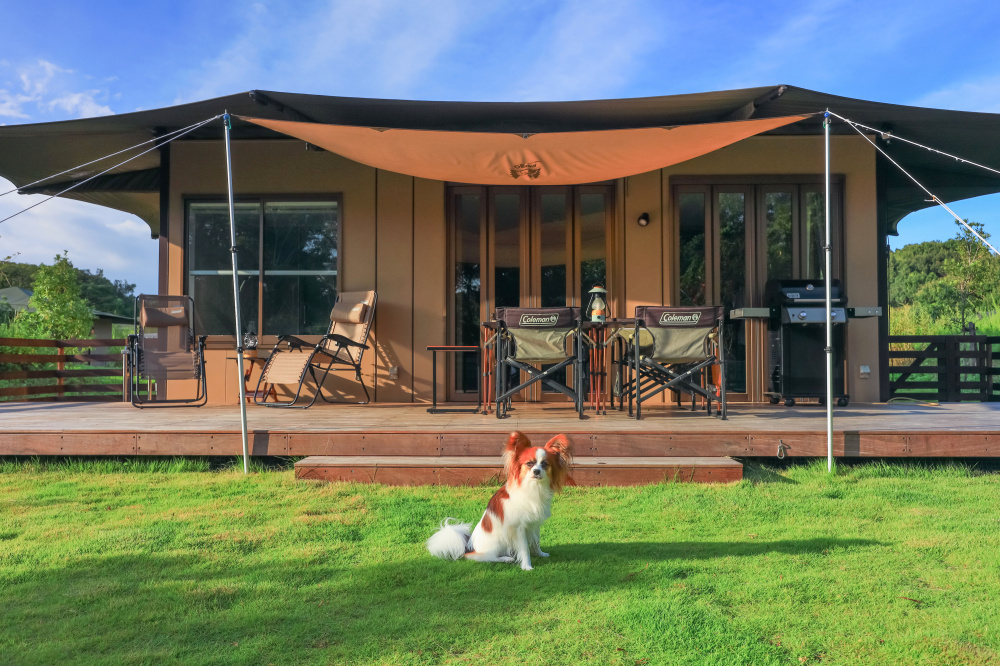 【公式HP限定】4/18リニューアルOPEN記念｜早期予約20%OFF 愛犬と泊まるフォレストヴィラDOG〈選べる朝食付〉